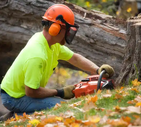 tree services Clark Mills